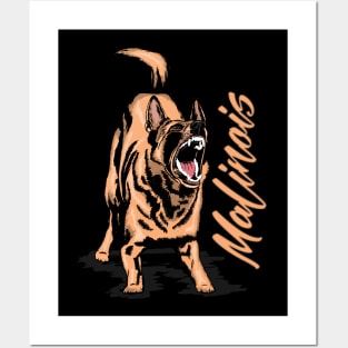 Malinois - Belgian shepherd -Mechelaar Posters and Art